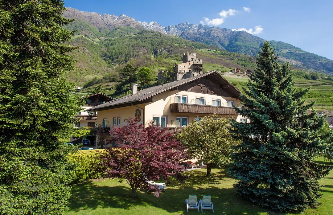 Hotel Weingarten-1